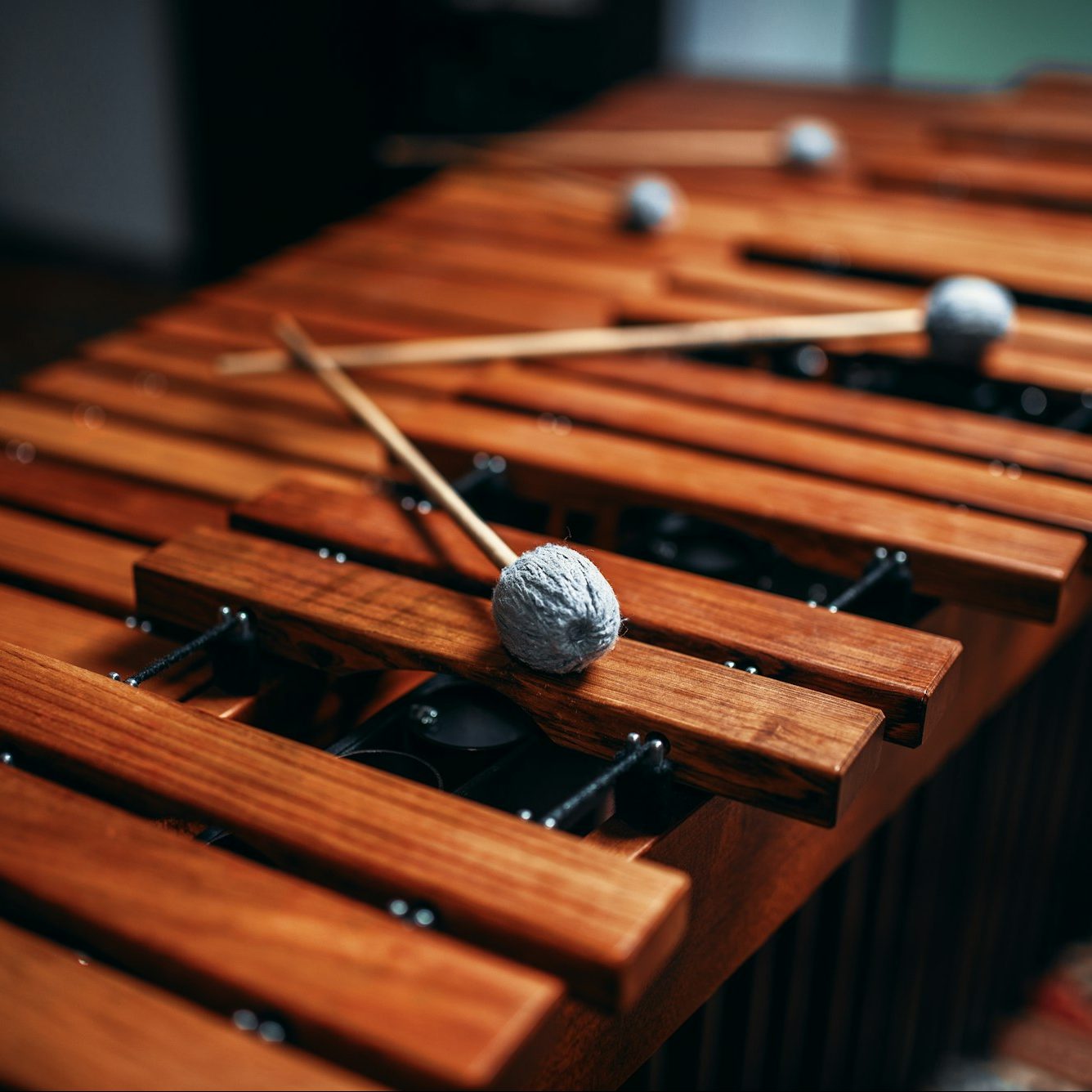 Xylophone closeup, wooden percussion instrument